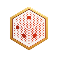 bh 999 logo